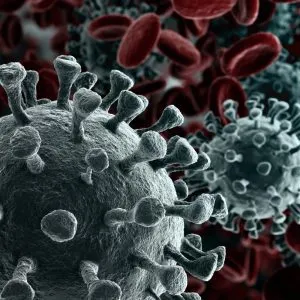 Coronavirus JN.1