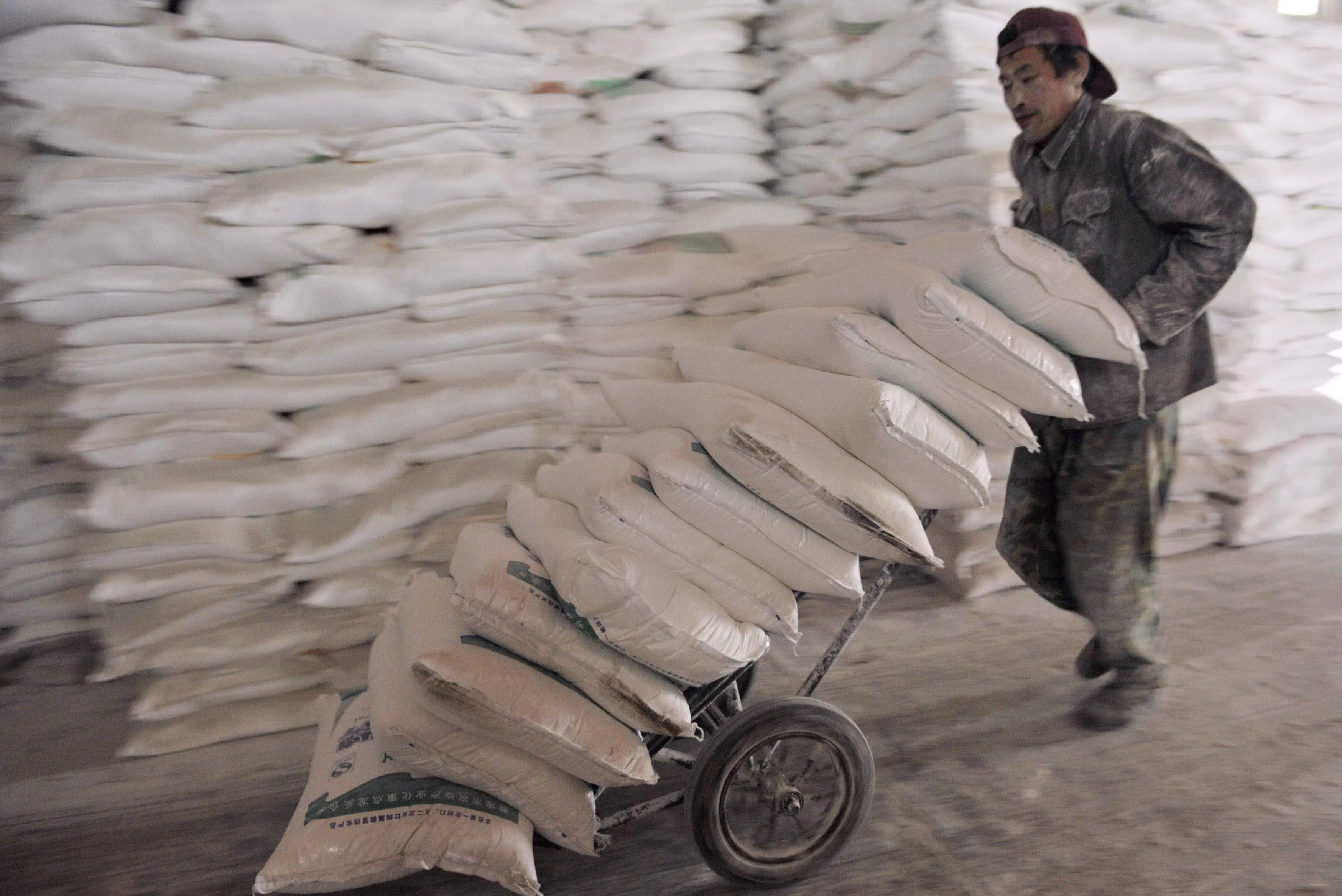Cement