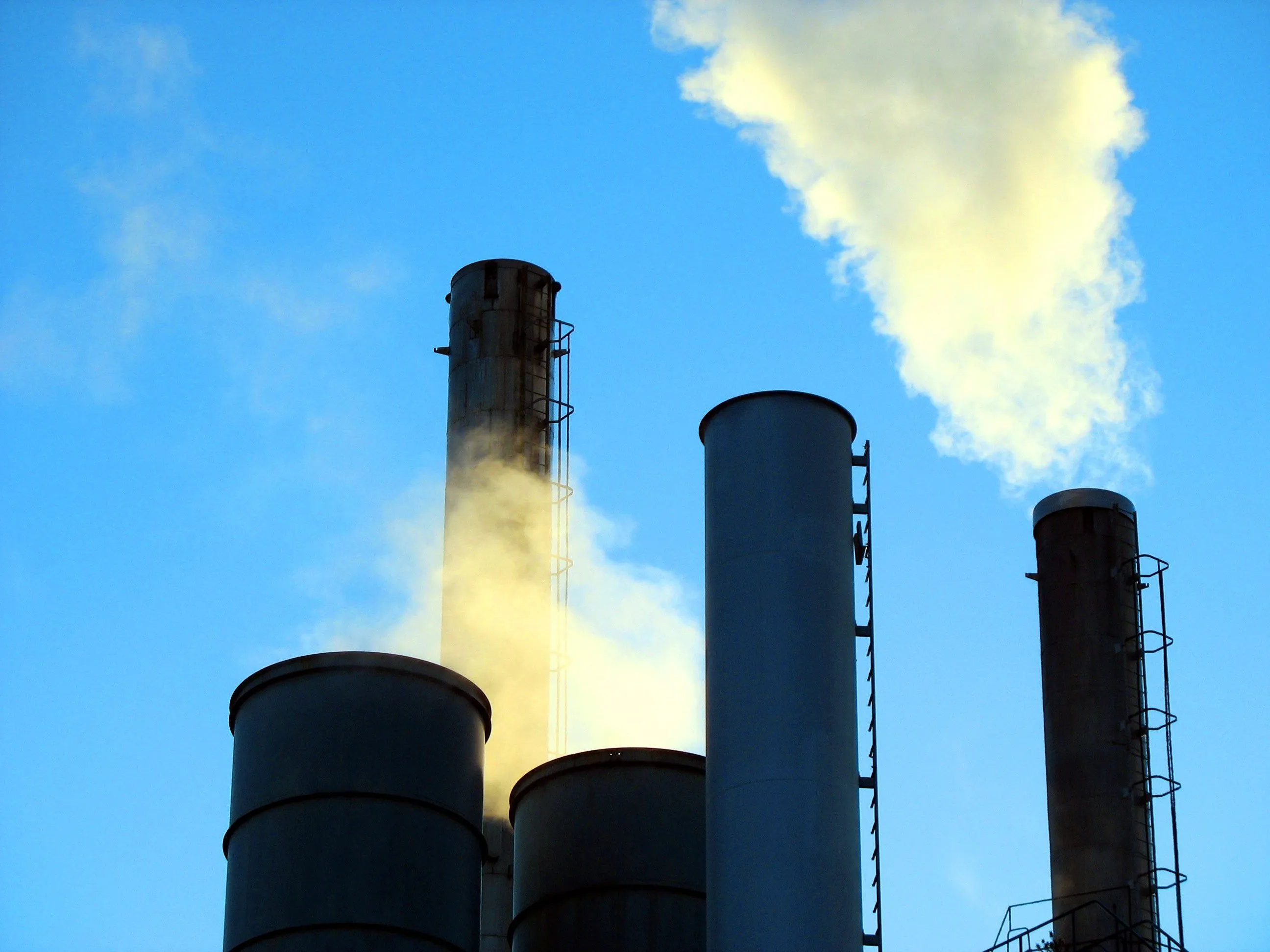 industry sector