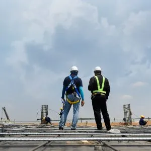 labour_Force