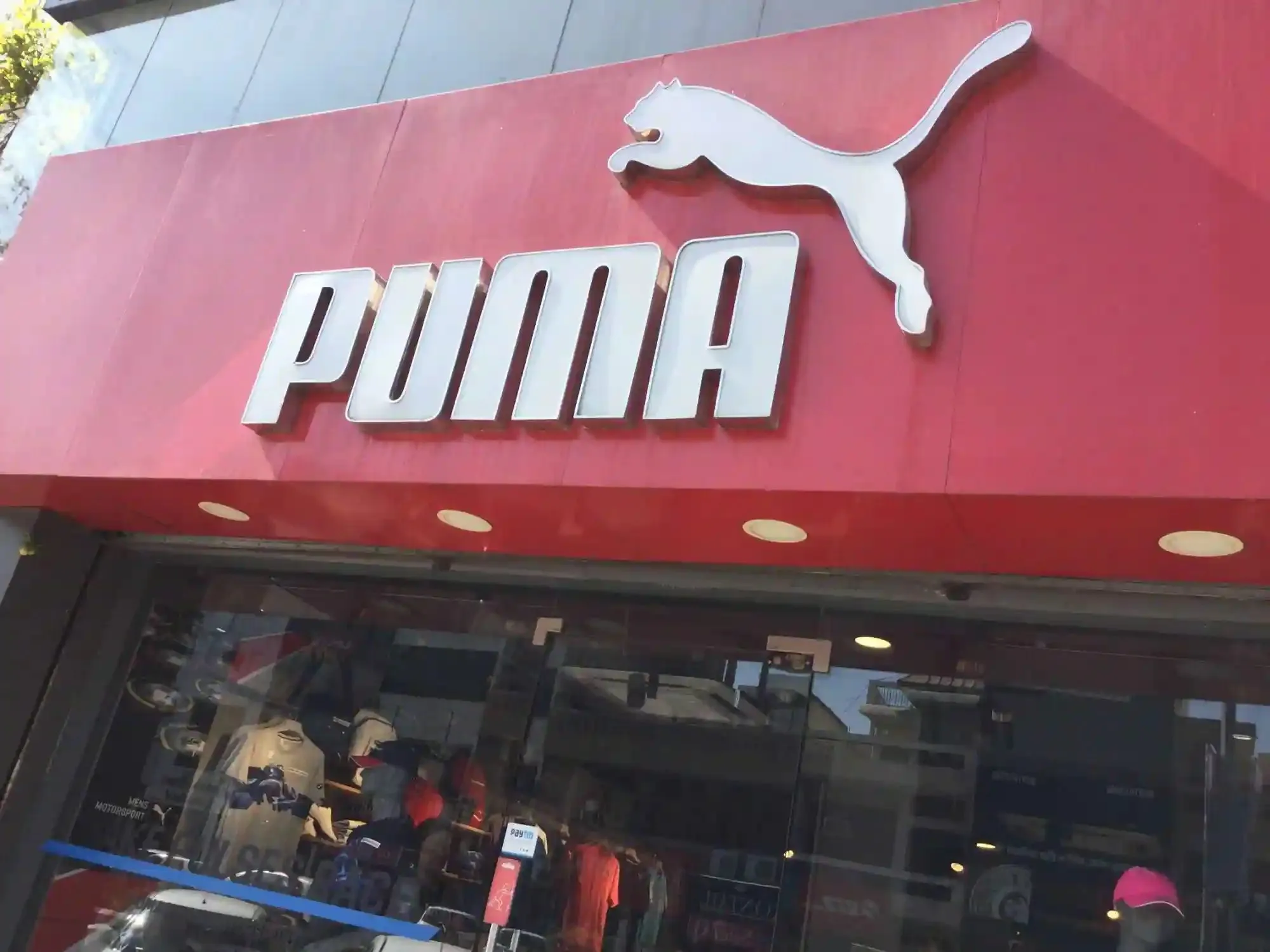 puma