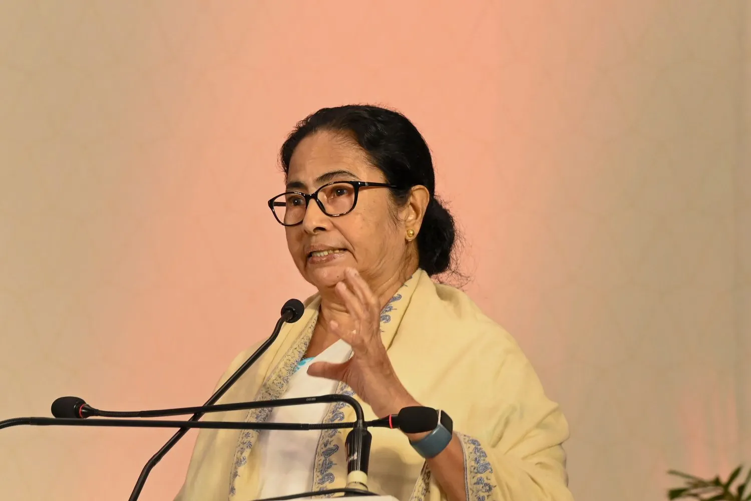 Mamata Banerjee