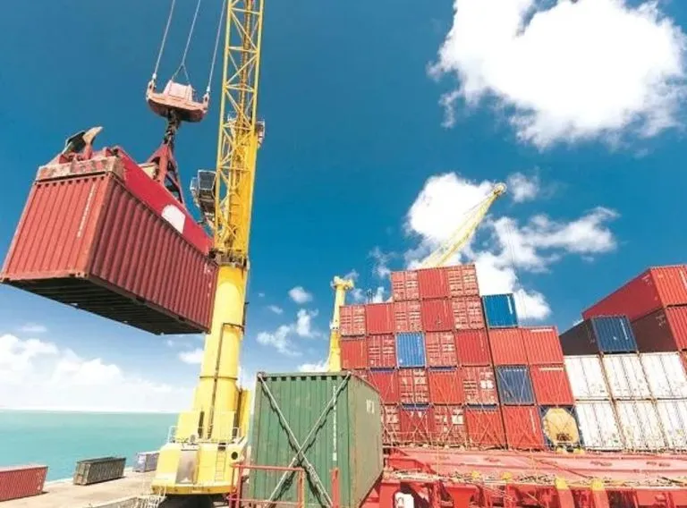 WTO के खिलाफ पक्ष रखेगा भारत, कहा- IT प्रोडक्ट्स पर आयात शुल्क लगाने से नहीं EU पर असर नहीं