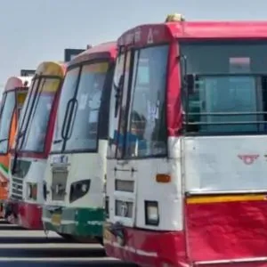 UP bus