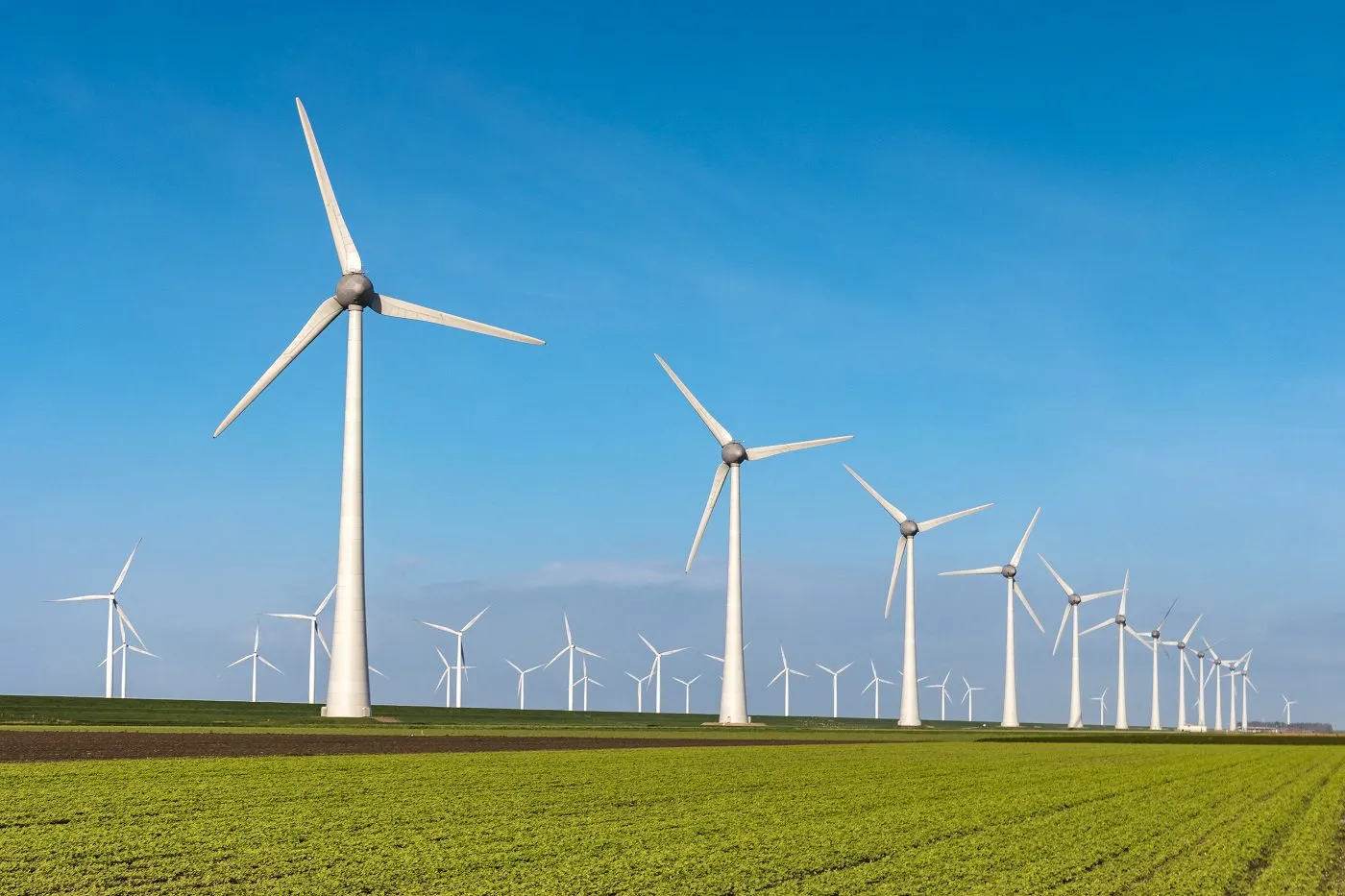 ReNew Energy
