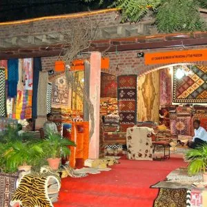 Dilli Haat will get a new look, natural material will be used