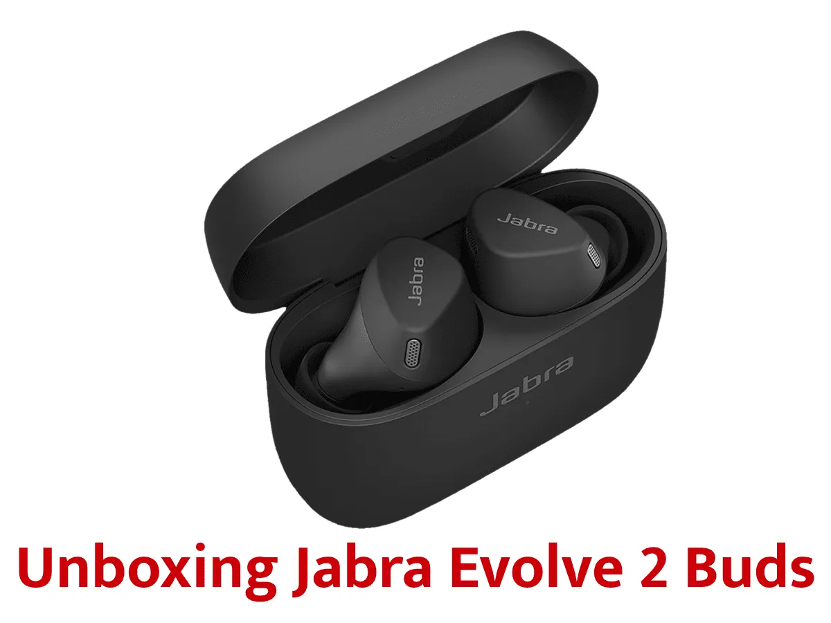 Earbuds