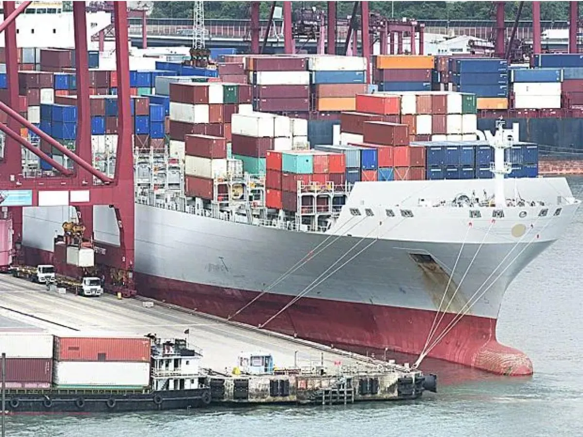 India's effort paid off, now IMO will use biofuel for shipping