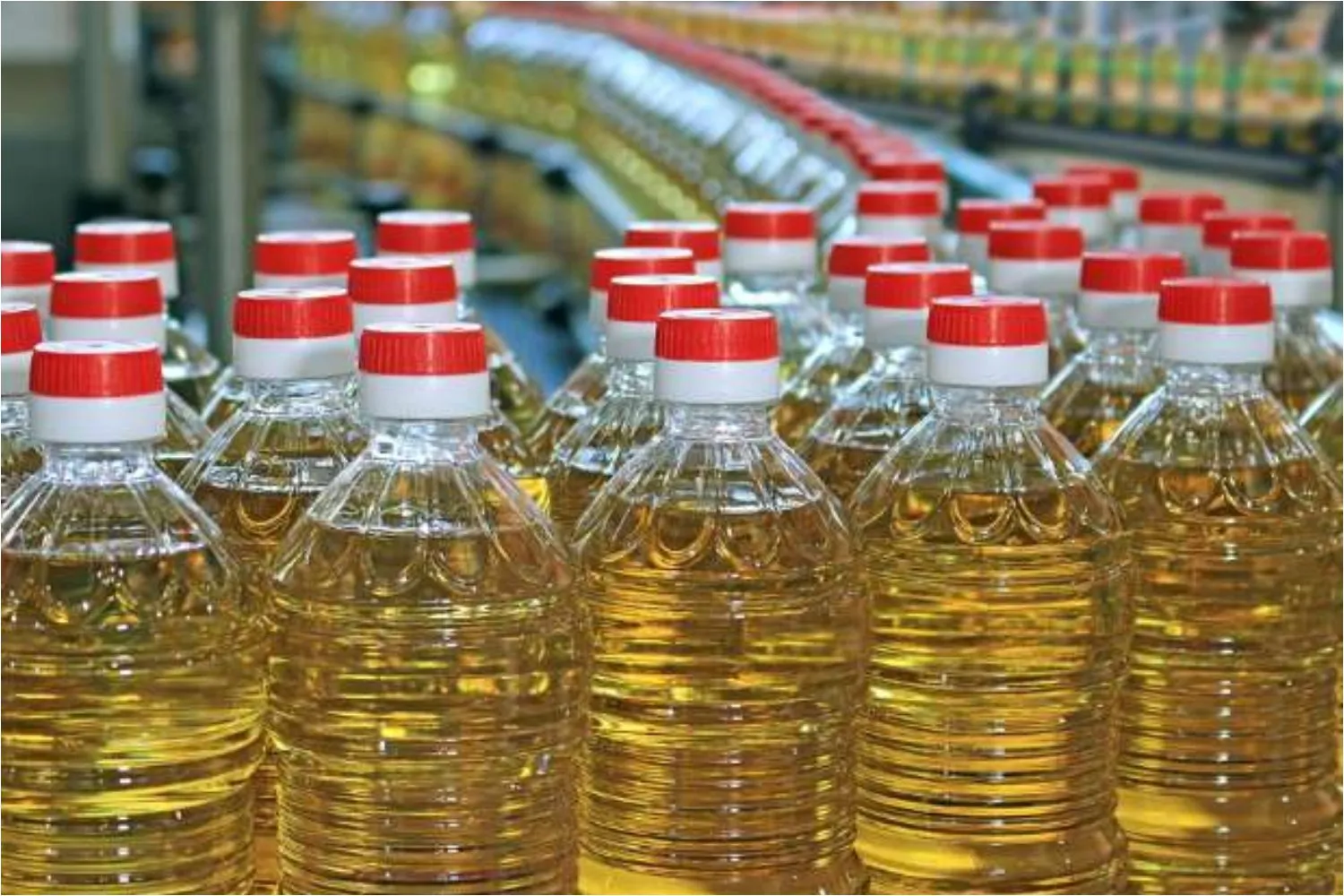 Vegetable Oil Import
