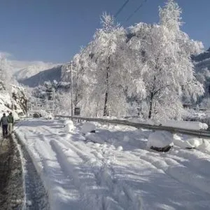 Snowfall