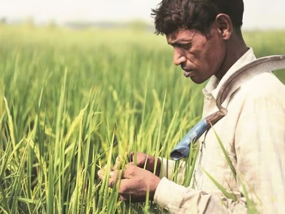PM Kisan Scheme