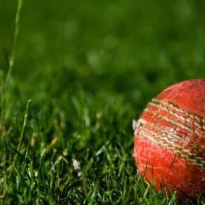 cricket ball- क्रिकेट गेंद