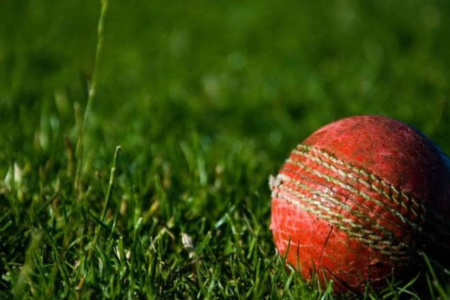 cricket ball- क्रिकेट गेंद