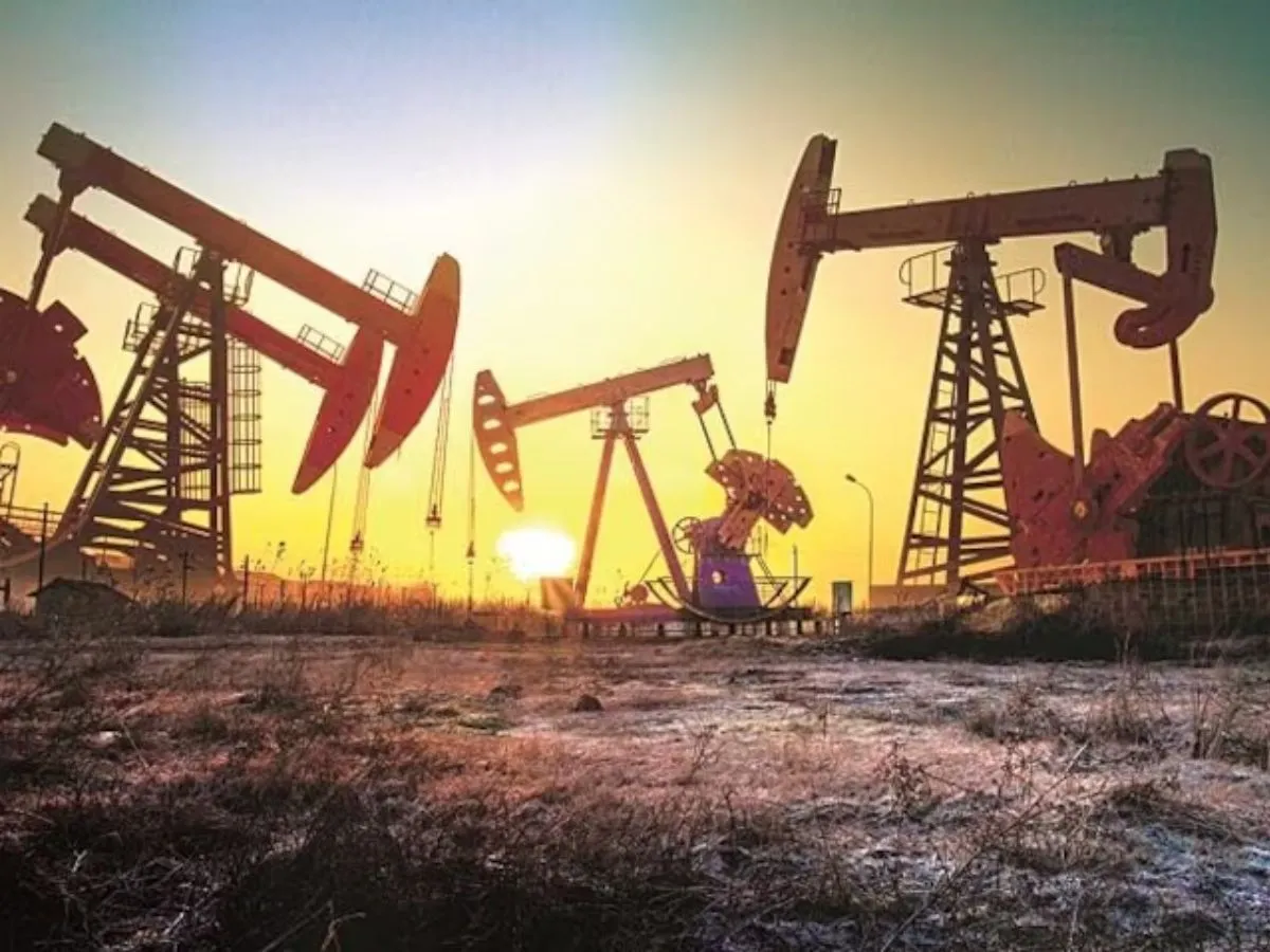 Oil