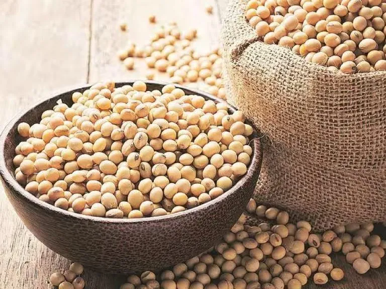 Soybean crushing: अब और ज्यादा होगी सोयाबीन की पेराई, खली निर्यात भी पहले से ज्यादा होगा