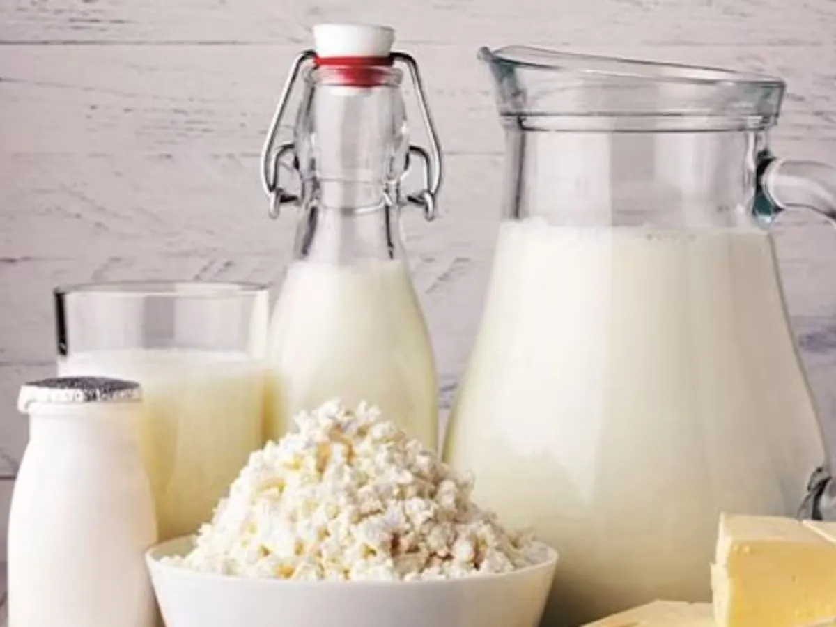 Dairy Products