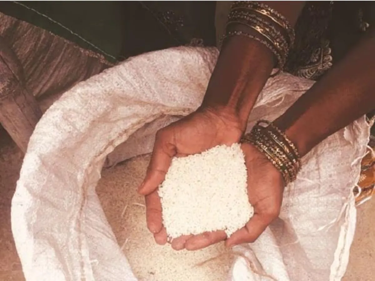 World food prices fall for 12th month running