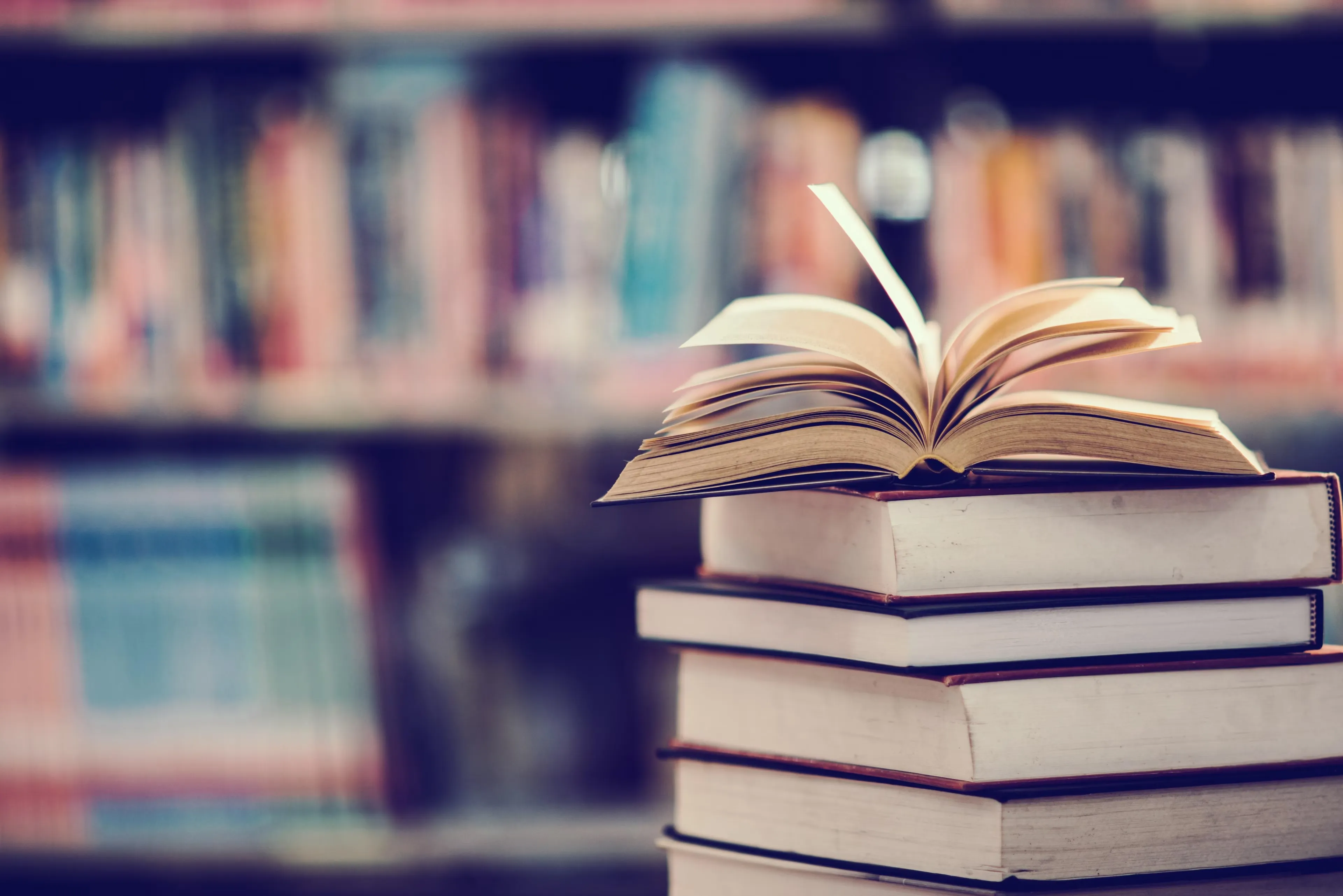 World Book Fair 2024