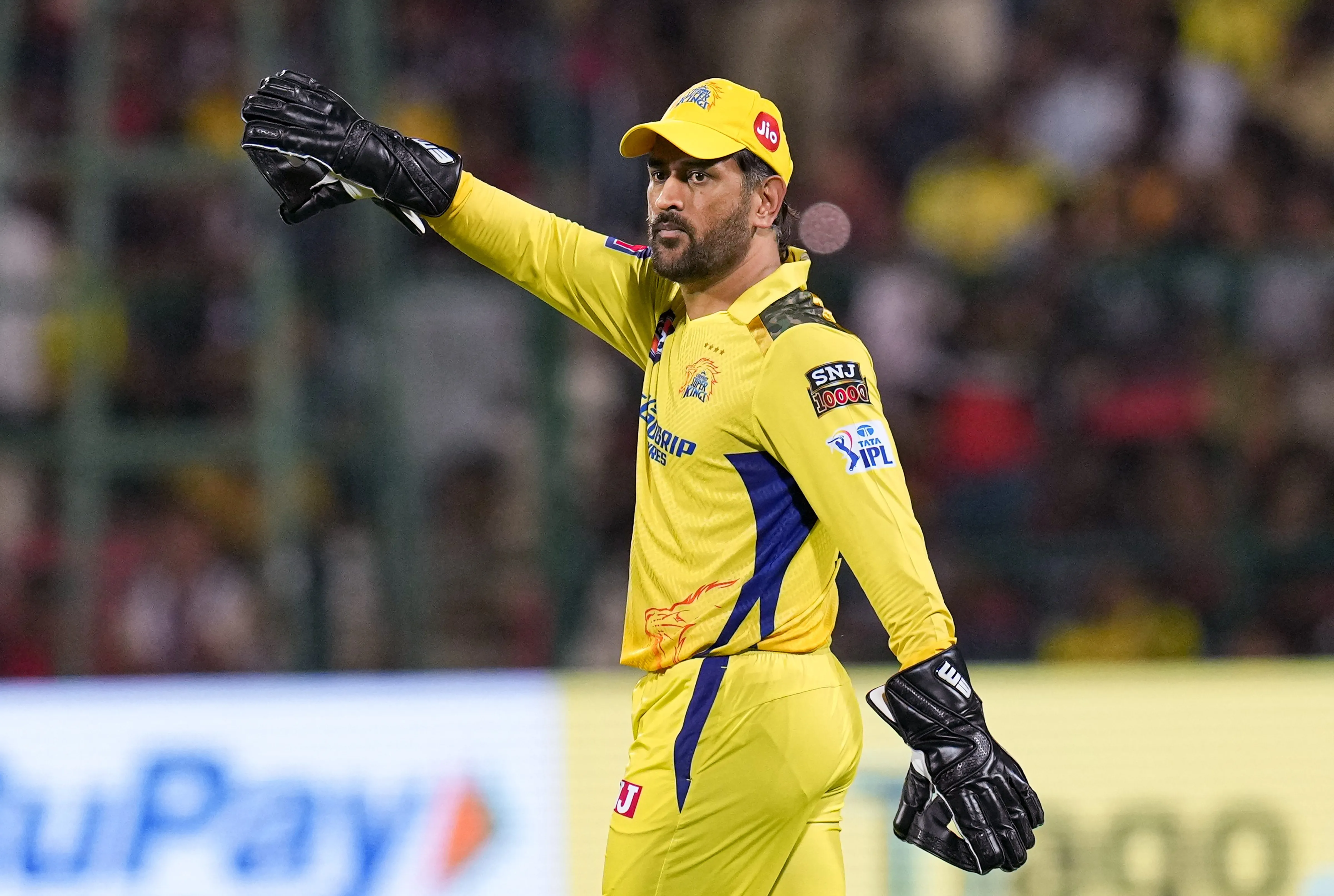 CSK vs PBKS IPL 2023: Dhoni won the toss, decided to bat first
