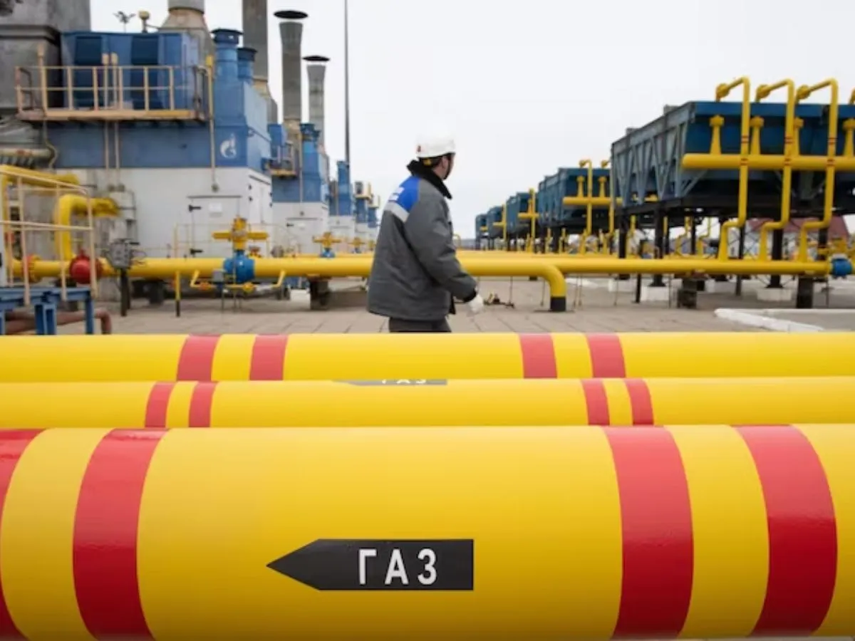 Consumer prices of gas tumble as utilities slash PNG and CNG prices