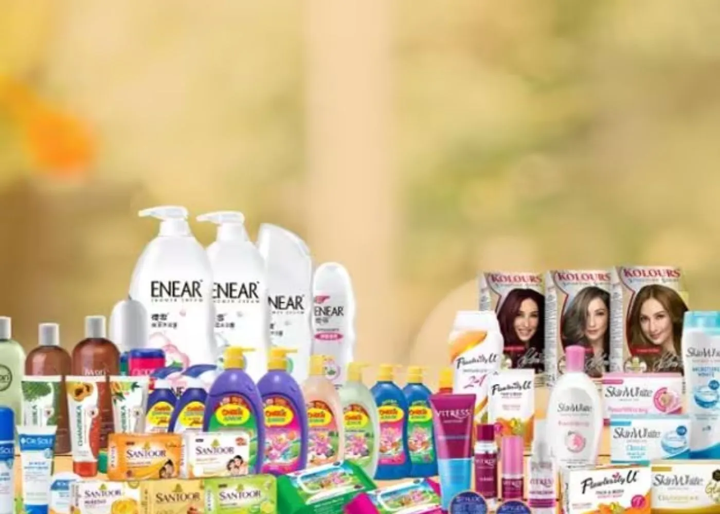 Wipro Consumer sales