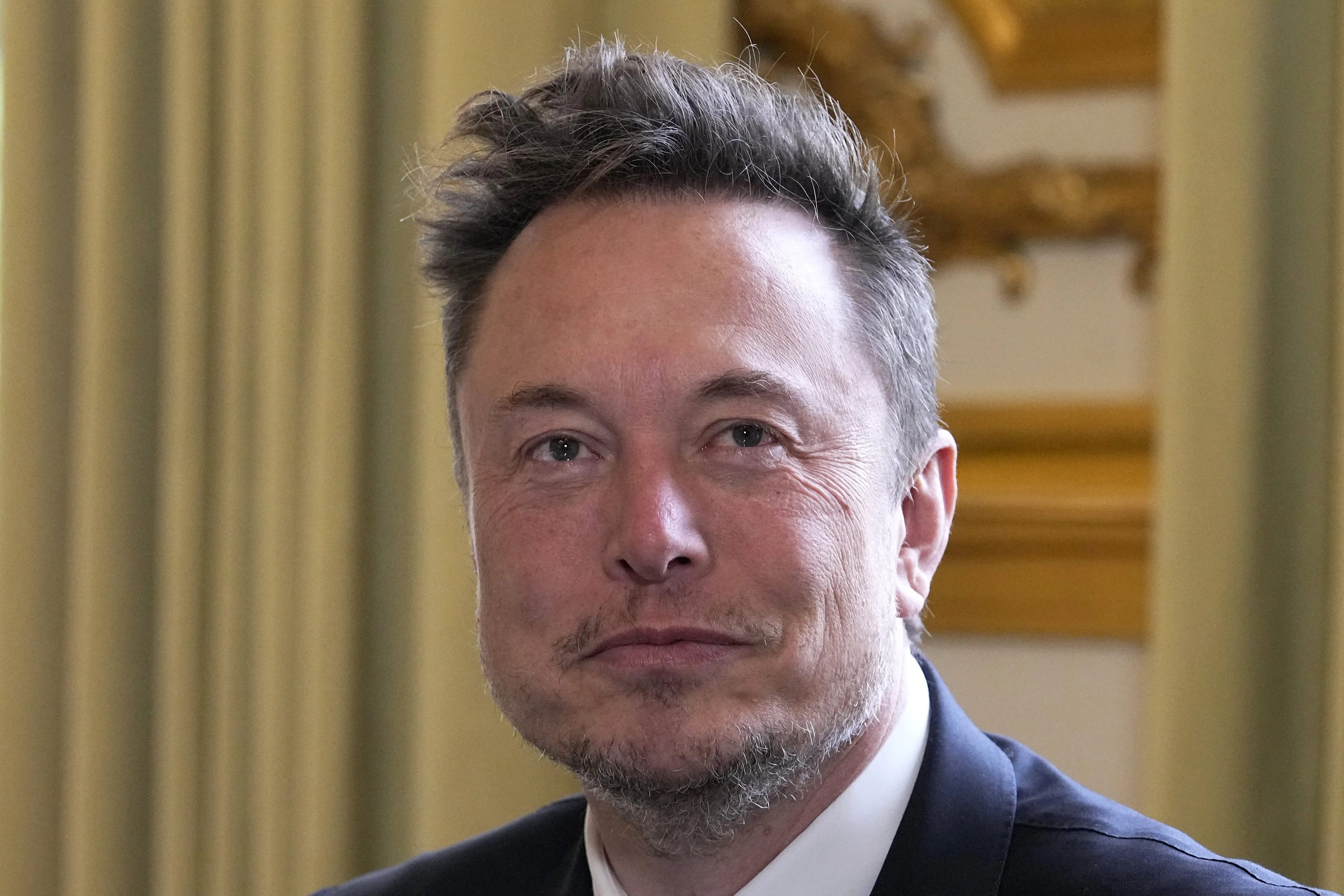 Tesla CEO Elon Musk