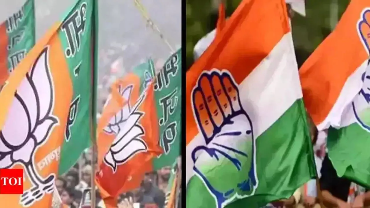Lok Sabha Elections