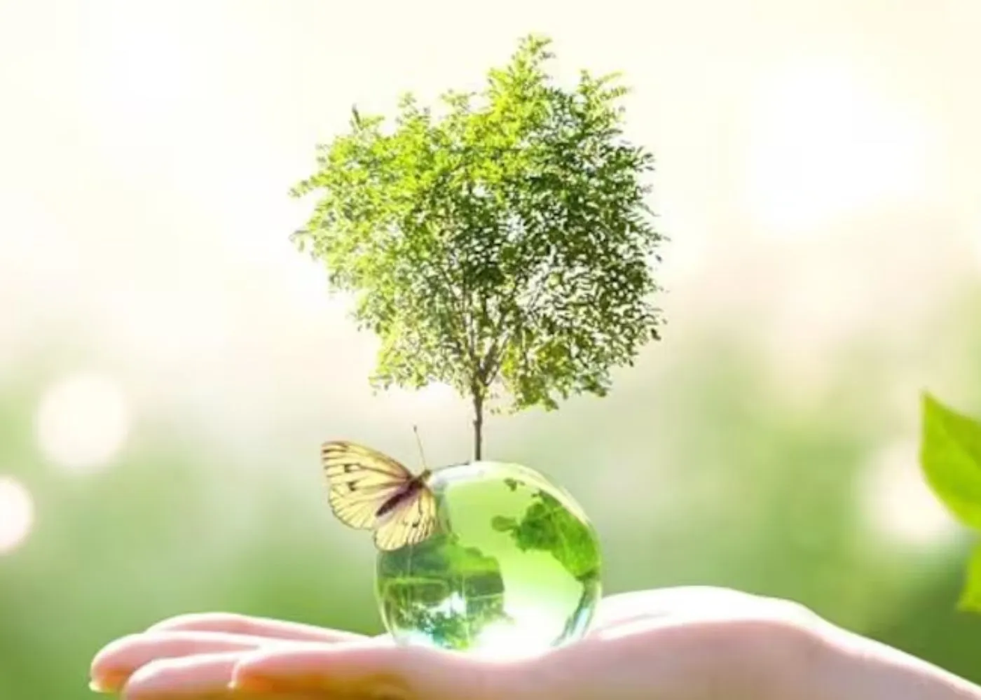 Go Green, Earn Credit: Government comes out with draft rules for Green Credit Program