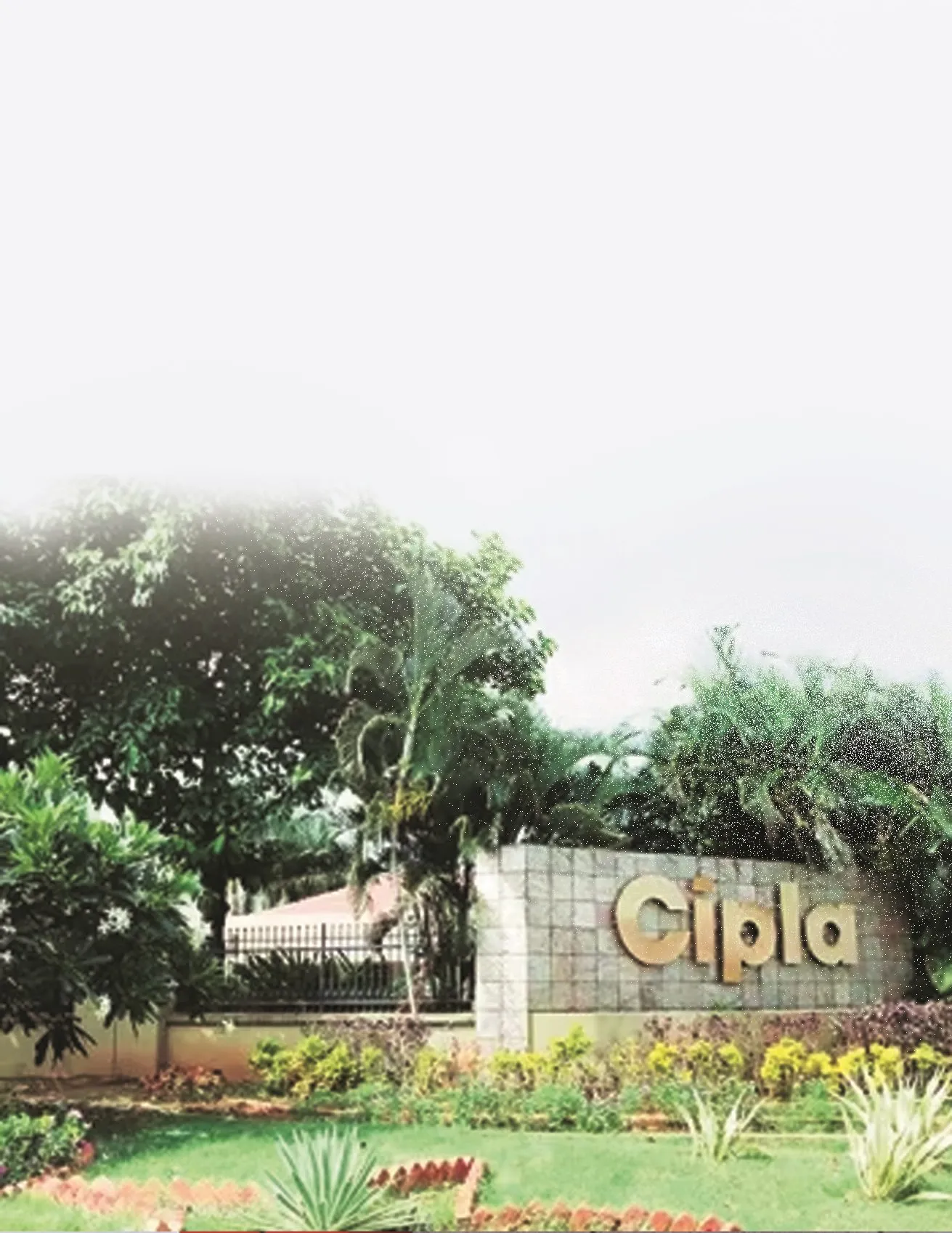Cipla