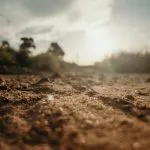 Government engaged in preparations to eradicate drought from Marathwada