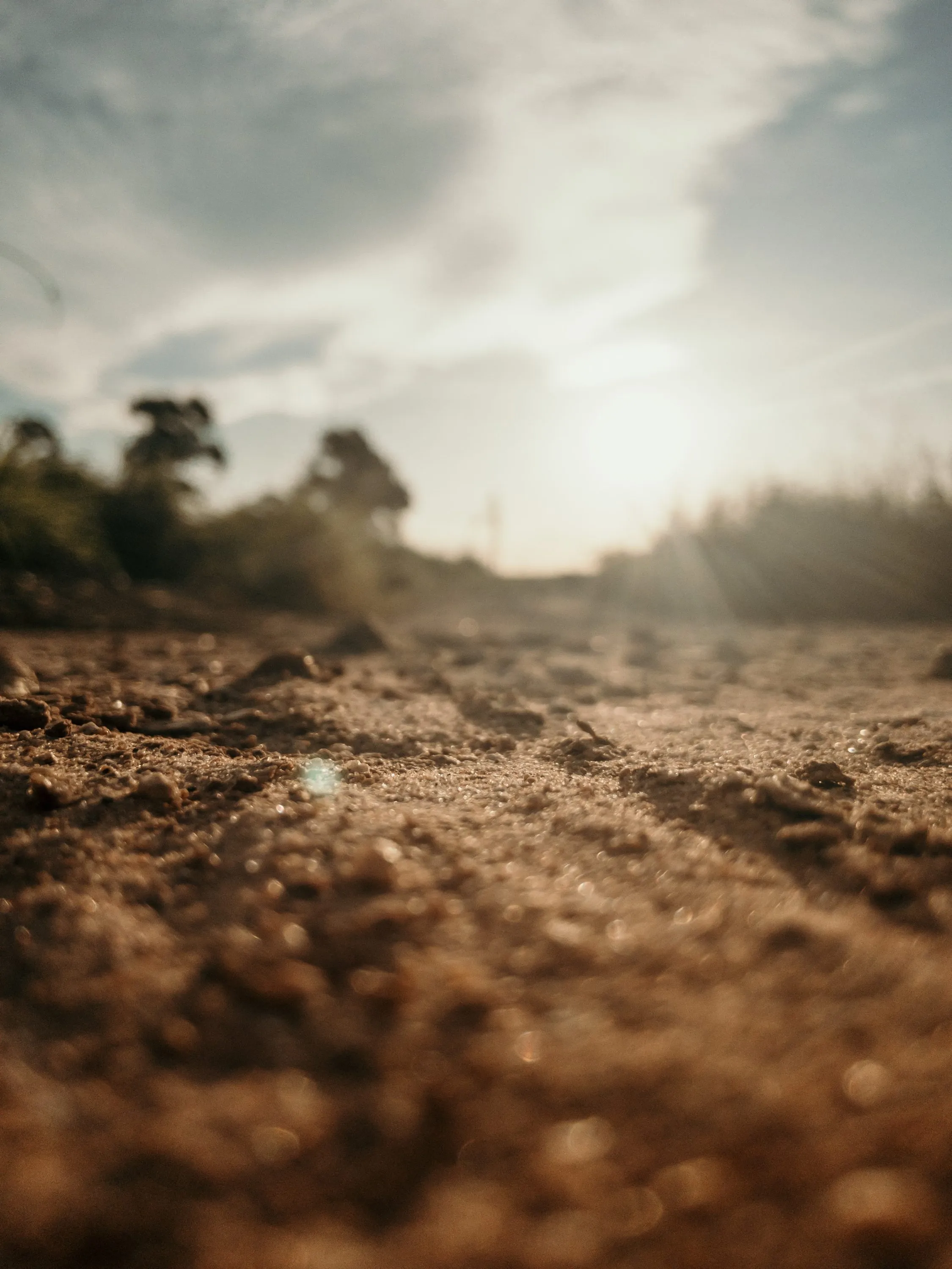 Government engaged in preparations to eradicate drought from Marathwada