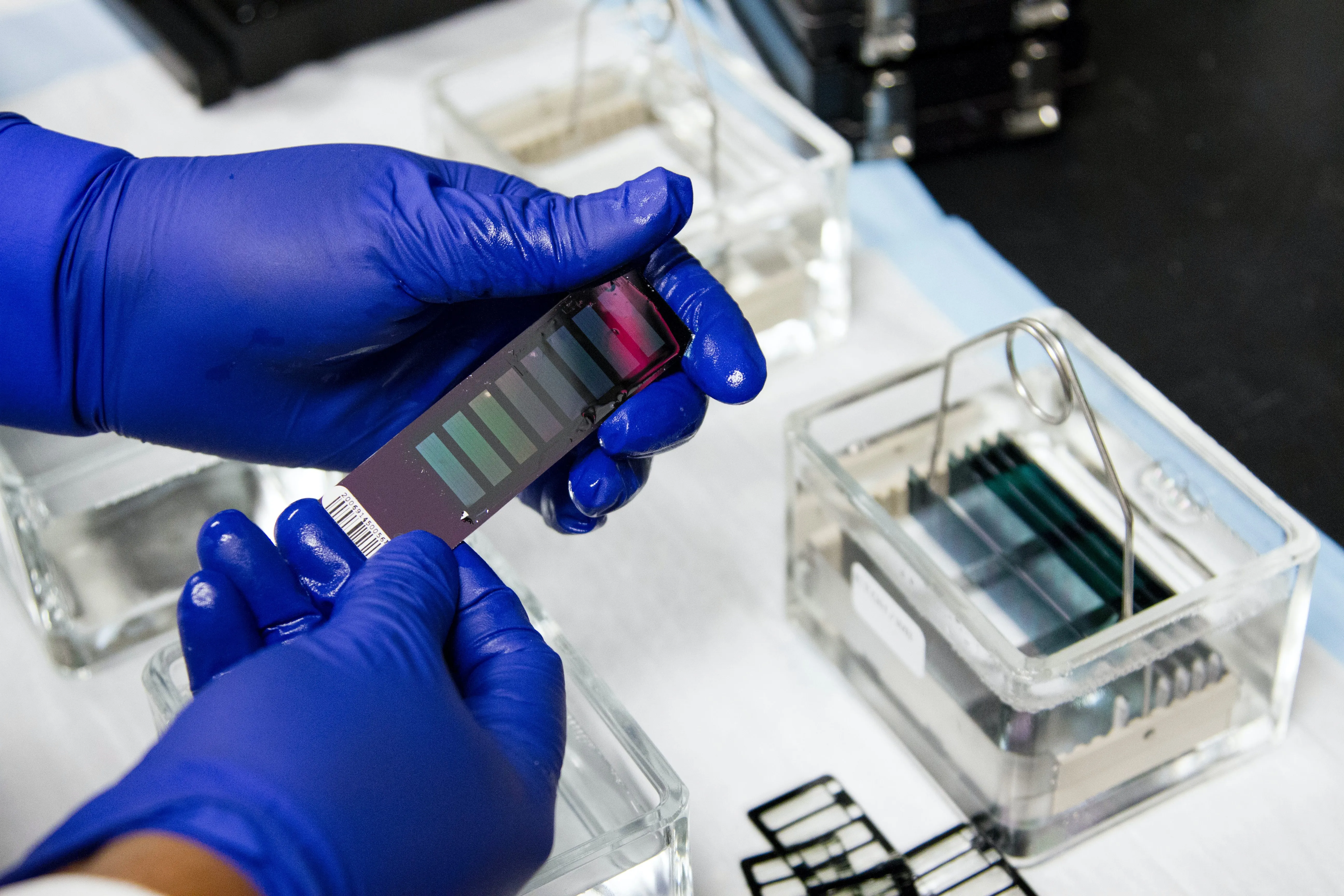 Budget 2024: India in final stages of introducing national policy to promote R&D in pharma-medical devices sectors