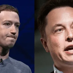 Musk vs Zuckerberg Cage Fight