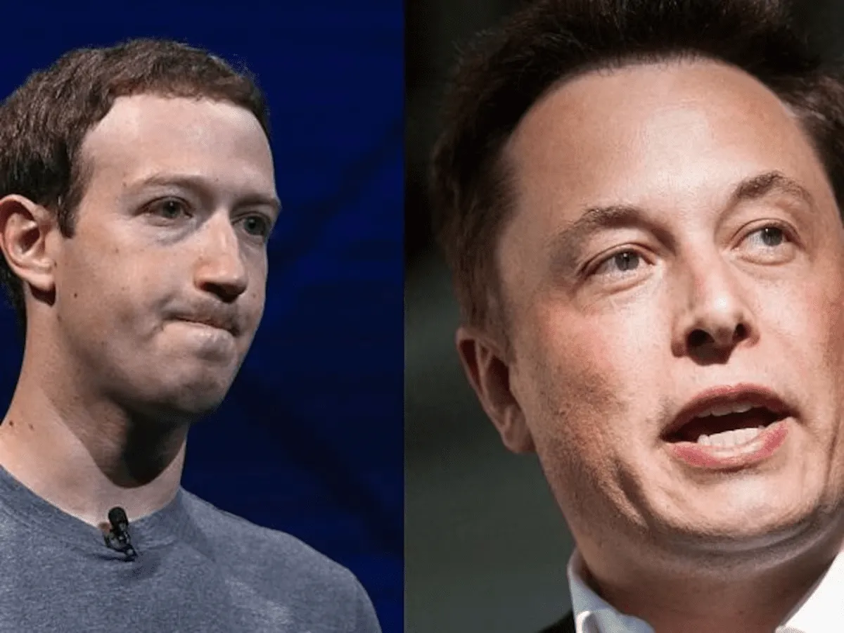 Musk vs Zuckerberg Cage Fight