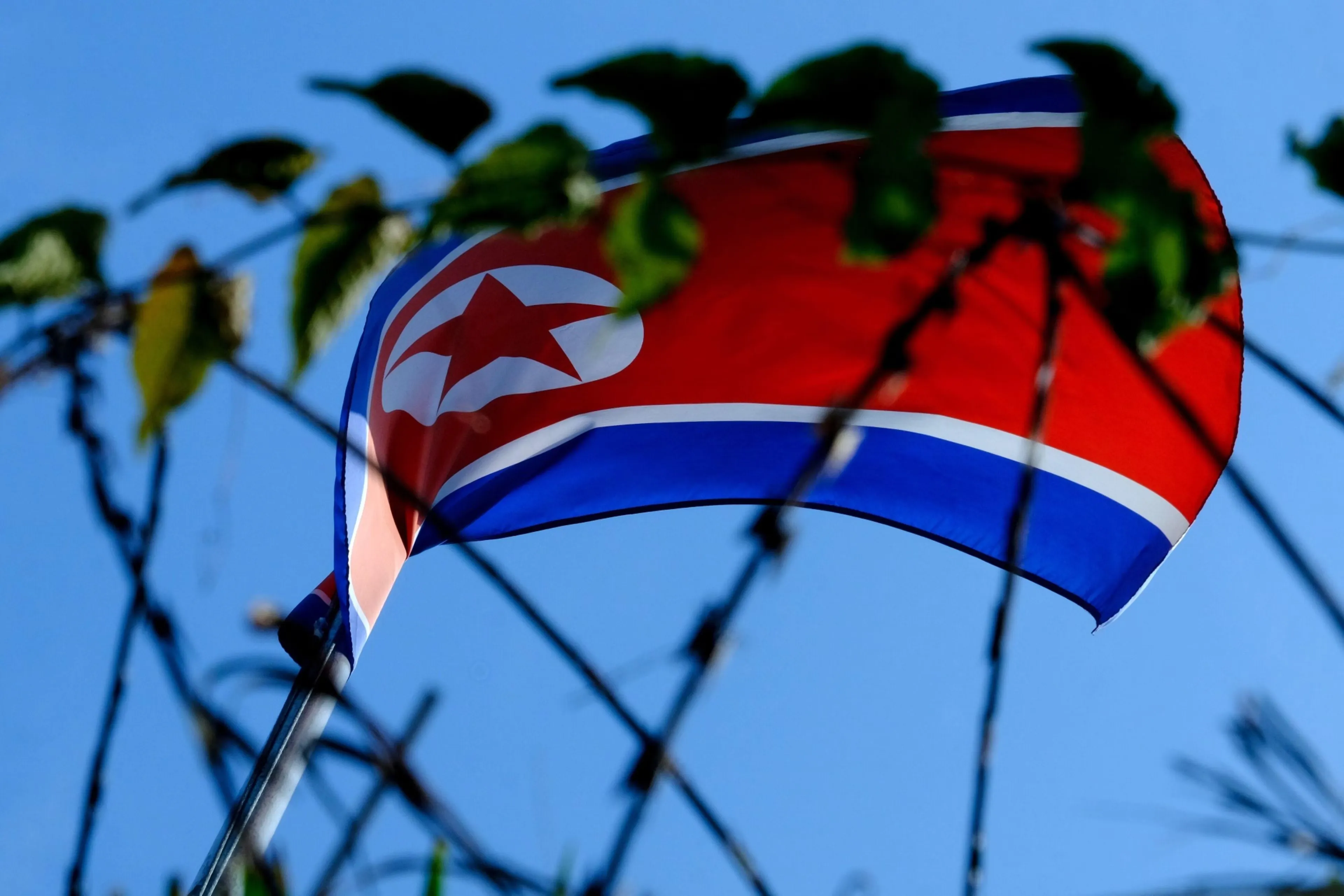 North korea flag