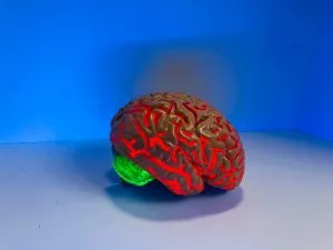 Elon Musk's brain-chip startup Neuralink to start human trial