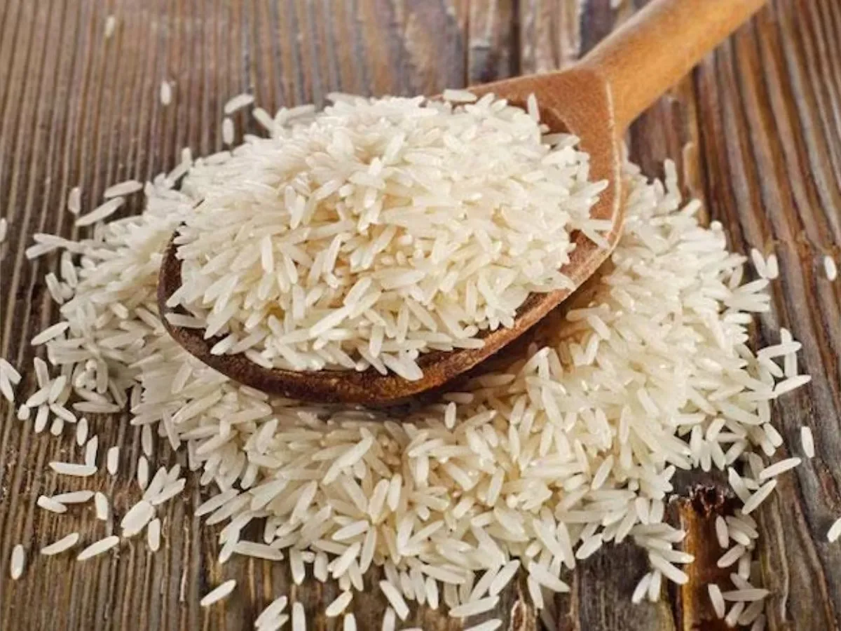 Basmati Rice export