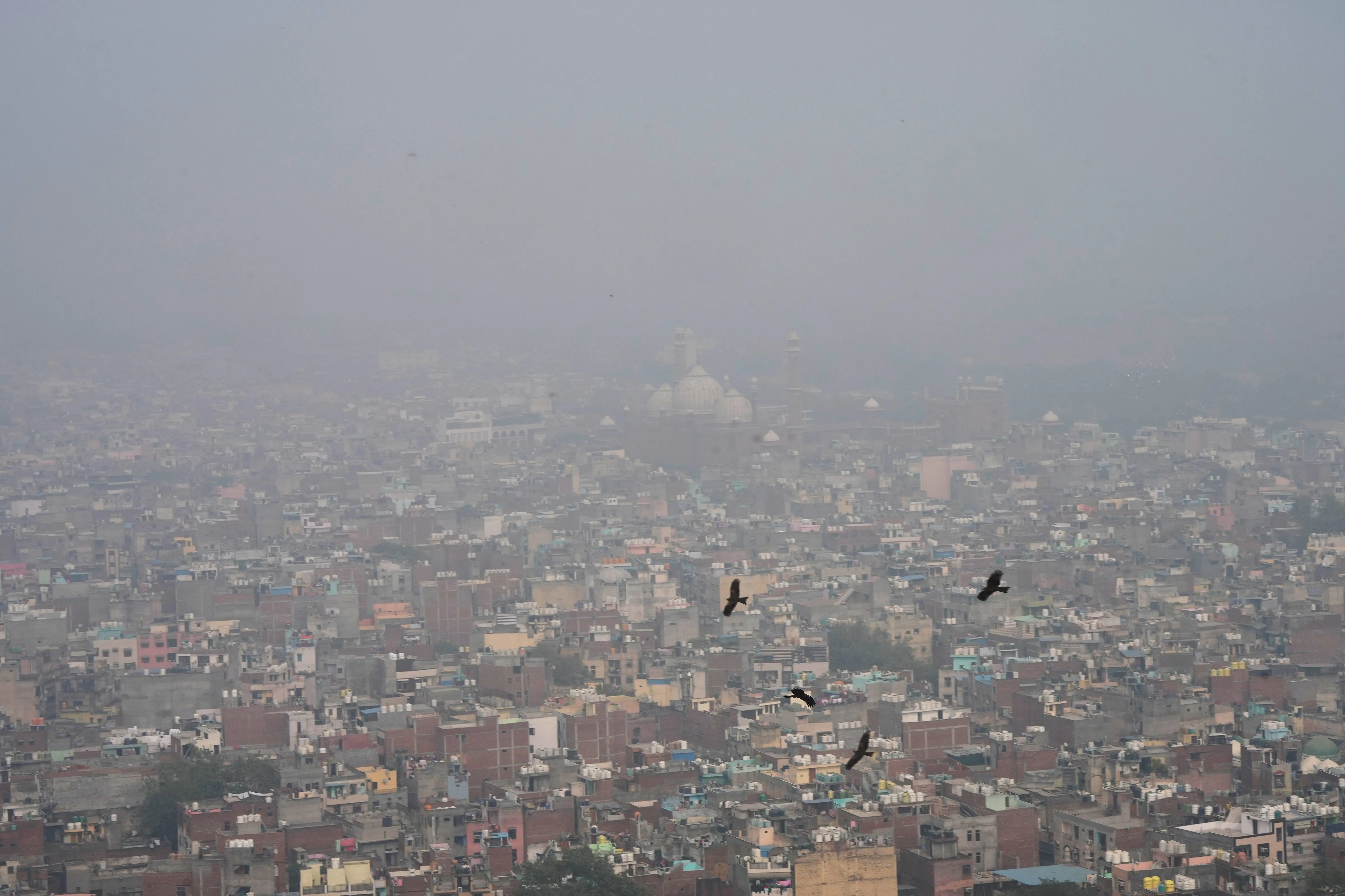 Air pollution in Delhi