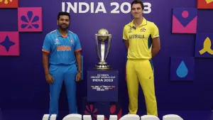 ind vs aus world cup final