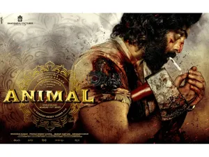 Animal crosses Rs 800 cr milestone at worldwide box office in 16 days
