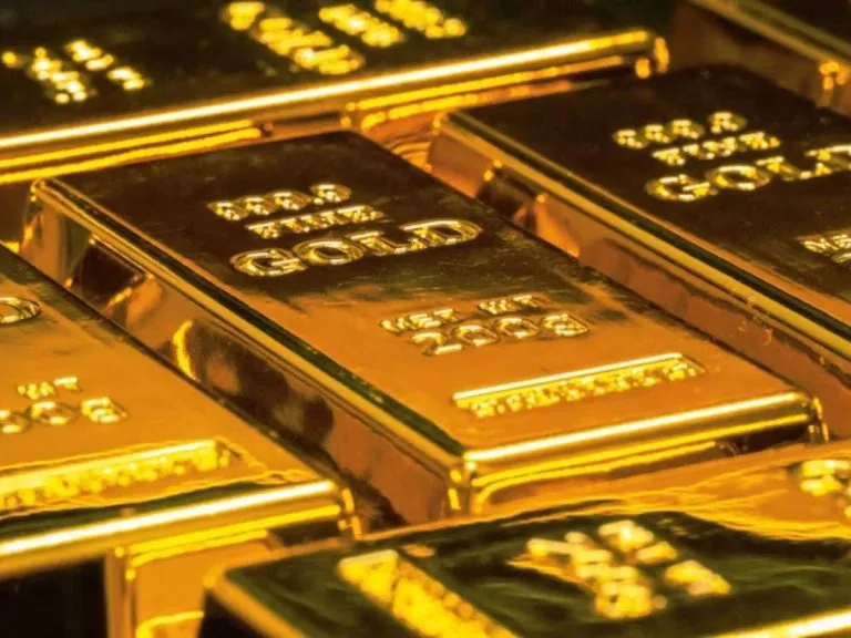 India Gold Reserves: फॉरेक्स रिजर्व में सोने की बढ़ी हनक, पांच साल में आरबीआई ने खरीदा 227 टन सोना