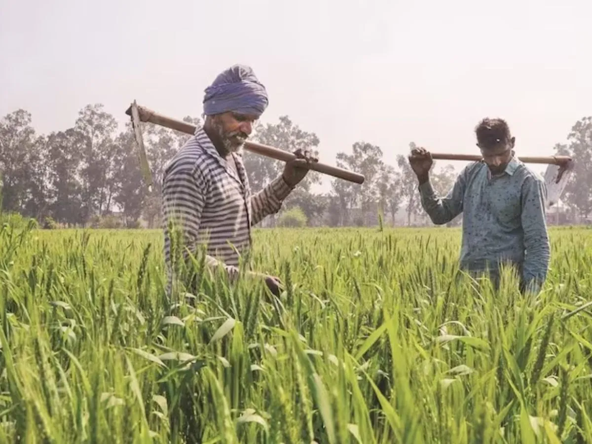 PM Kisan Yojana: 31 दिसंबर तक पूरा कर लें ये काम...वरना अटक जाएगी किसानों की 19वीं किस्त