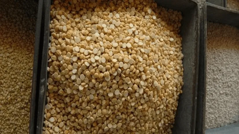 bharat brand chana dal