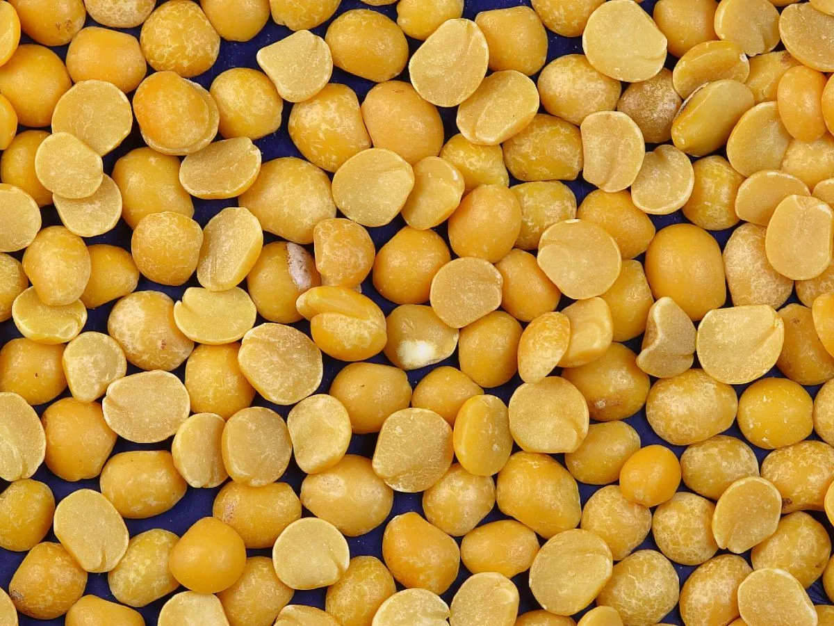 निगरानी प्रणाली के तहत रजिस्ट्रेशन के बाद पीली मटर के आयात की अनुमति: DGFT, Permission to import yellow peas after registration under monitoring system: DGFT