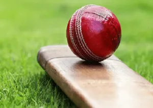 Cricket Bowl- क्रिकेट गेंद