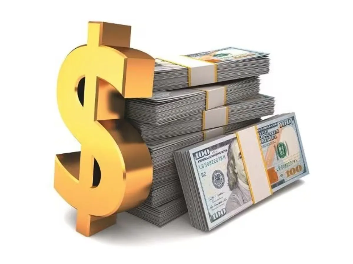 Forex Reserves: Foreign exchange reserves are taking a hit amid the fall in the rupee, falling to the lowest level in 11 months रुपये में गिरावट के बीच विदेशी मुद्रा भंडार को लग रही चपत, घटकर 11 महीने के निचले स्तर पर आया
