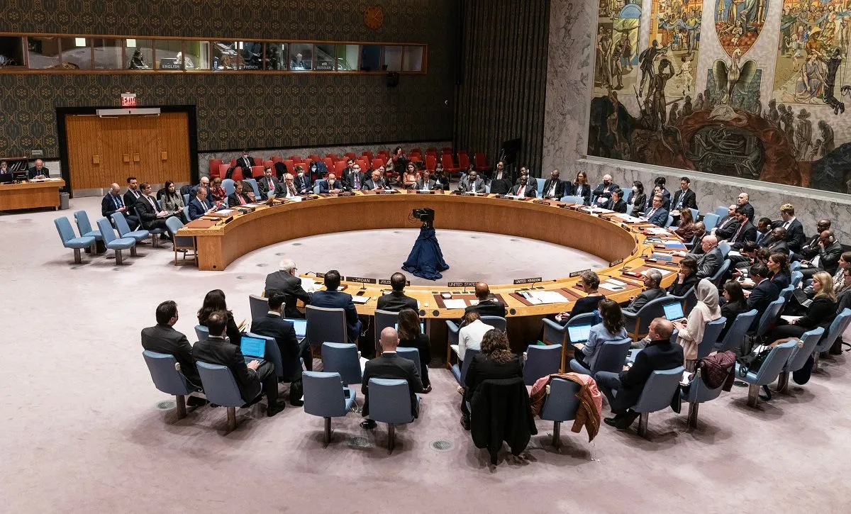 United Nations Security Council