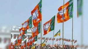 BJP flag