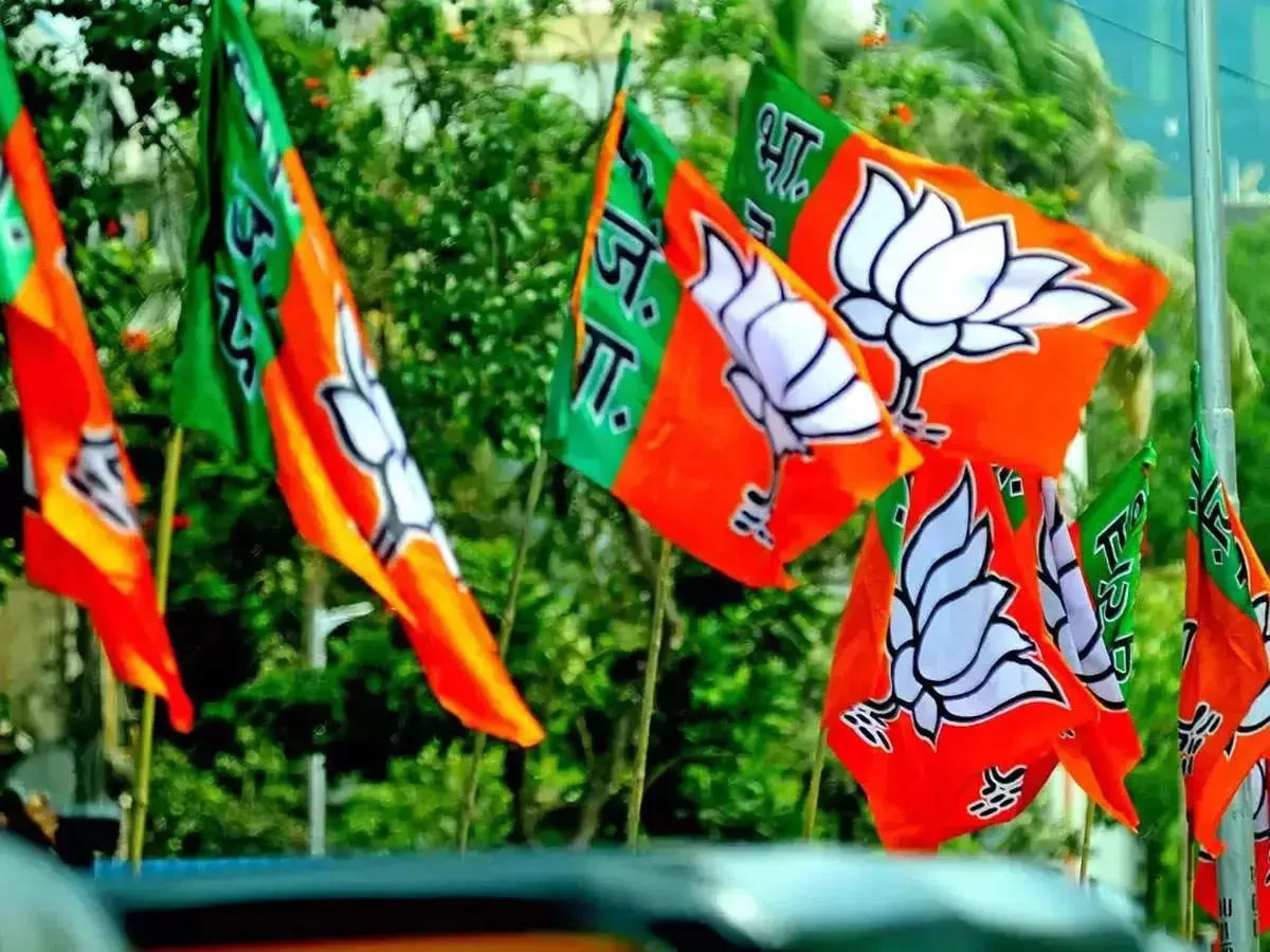 BJP flag