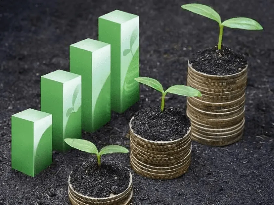RBI green bond